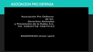 ASOCIACION PRO DEFENSA
 