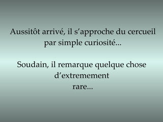 Aussitôt arrivé, il s’approche du cercueil par simple curiosité... Soudain, il remarque quelque chose  d’extremement  rare... 
