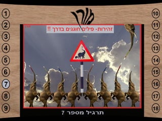 פוטושופ עבודת סיכום מורן1