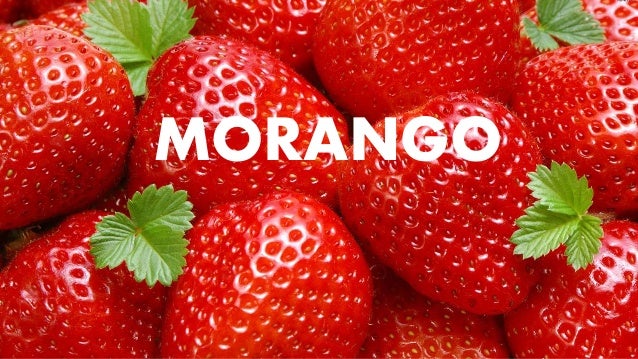 MORANGO 
 