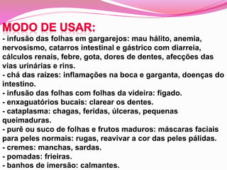 - infusão das folhas em gargarejos: mau hálito, anemia,
nervosismo, catarros intestinal e gástrico com diarreia,
cálculos renais, febre, gota, dores de dentes, afecções das
vias urinárias e rins.
- chá das raízes: inflamações na boca e garganta, doenças do
intestino.
- infusão das folhas com folhas da videira: fígado.
- enxaguatórios bucais: clarear os dentes.
- cataplasma: chagas, feridas, úlceras, pequenas
queimaduras.
- purê ou suco de folhas e frutos maduros: máscaras faciais
para peles normais: rugas, reavivar a cor das peles pálidas.
- cremes: manchas, sardas.
- pomadas: frieiras.
- banhos de imersão: calmantes.
 