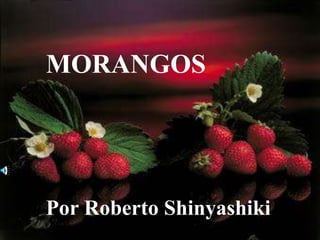 MORANGOS




Por Roberto Shinyashiki
 