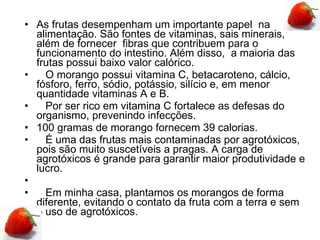 As frutas desempenham um importante papel  na alimentação. São fontes de vitaminas, sais minerais, além de fornecer  fibras que contribuem para o funcionamento do intestino. Além disso,  a maioria das frutas possui baixo valor calórico.     O morango possui vitamina C, betacaroteno, cálcio, fósforo, ferro, sódio, potássio, silício e, em menor quantidade vitaminas A e B.     Por ser rico em vitamina C fortalece as defesas do organismo, prevenindo infecções. 100 gramas de morango fornecem 39 calorias.     É uma das frutas mais contaminadas por agrotóxicos, pois são muito suscetíveis a pragas. A carga de agrotóxicos é grande para garantir maior produtividade e lucro.         Em minha casa, plantamos os morangos de forma diferente, evitando o contato da fruta com a terra e sem o uso de agrotóxicos. 