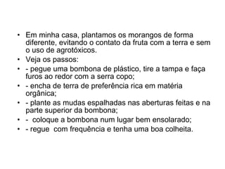 Em minha casa, plantamos os morangos de forma diferente, evitando o contato da fruta com a terra e sem o uso de agrotóxicos. Veja os passos: - pegue uma bombona de plástico, tire a tampa e faça furos ao redor com a serra copo; - encha de terra de preferência rica em matéria orgânica; - plante as mudas espalhadas nas aberturas feitas e na parte superior da bombona; -  coloque a bombona num lugar bem ensolarado; - regue  com frequência e tenha uma boa colheita. 