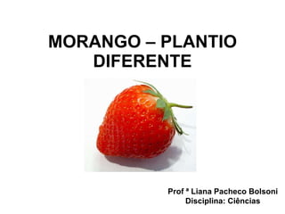 MORANGO – PLANTIO DIFERENTE Prof ª Liana Pacheco Bolsoni Disciplina: Ciências 