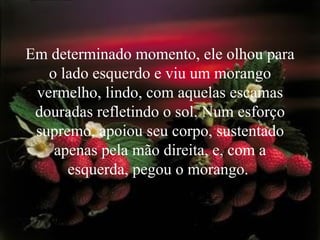 Em determinado momento, ele olhou para o lado esquerdo e viu um morango vermelho, lindo, com aquelas escamas douradas refletindo o sol. Num esforço supremo, apoiou seu corpo, sustentado apenas pela mão direita, e, com a esquerda, pegou o morango.  