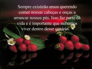 Sempre existirão ursos querendo comer nossas cabeças e onças a arrancar nossos pés. Isso faz parte da vida e é importante que saibamos viver dentro desse cenário.    