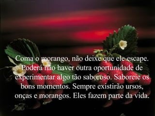 Coma o morango, não deixe que ele escape. Poderá não haver outra oportunidade de experimentar algo tão saboroso. Saboreie os bons momentos. Sempre existirão ursos, onças e morangos. Eles fazem parte da vida.  