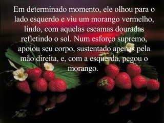 Em determinado momento, ele olhou para o lado esquerdo e viu um morango vermelho, lindo, com aquelas escamas douradas refletindo o sol. Num esforço supremo, apoiou seu corpo, sustentado apenas pela mão direita, e, com a esquerda, pegou o morango.  