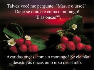 Talvez você me pergunte: "Mas, e o urso?".  Dane-se o urso e coma o morango!  "E as onças?". Azar das onças, coma o morango! Se ele não desistir, as onças ou o urso desistirão.  