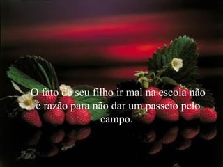 O fato de seu filho ir mal na escola não é razão para não dar um passeio pelo campo.  