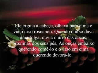 Ele erguia a cabeça, olhava para cima e via o urso rosnando. Quando o urso dava uma folga, ouvia o urro das onças, próximas dos seus pés. As onças embaixo querendo comê-lo e o urso em cima querendo devorá-lo.  