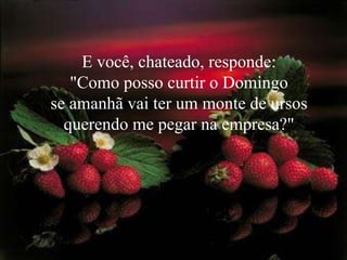 E você, chateado, responde:                 "Como posso curtir o Domingo                  se amanhã vai ter um monte de ursos querendo me pegar na empresa?"