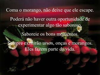 Coma o morango, não deixe que ele escape. Poderá não haver outra oportunidade de experimentar algo tão saboroso. Saboreie os bons momentos. Sempre existirão ursos, onças e morangos. Eles fazem parte da vida. 