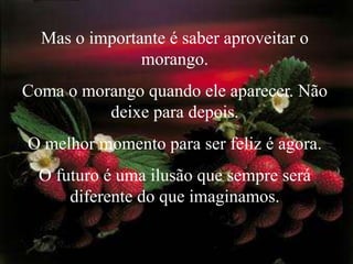 Mas o importante é saber aproveitar o morango. Coma o morango quando ele aparecer. Não deixe para depois. O melhor momento para ser feliz é agora. O futuro é uma ilusão que sempre será diferente do que imaginamos.
