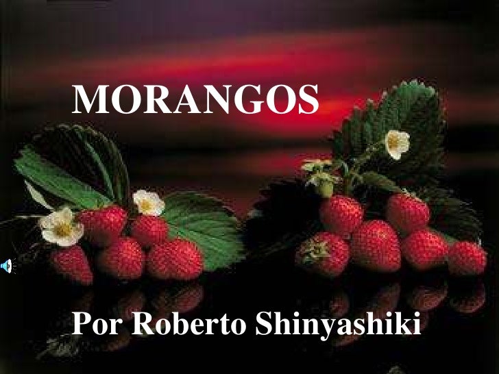 MORANGOS<br />Por Roberto Shinyashiki<br />