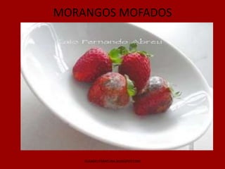 MORANGOS MOFADOS




    GUIADELITERATURA.BLOGSPOT.COM
 