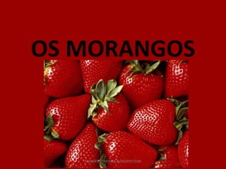 OS MORANGOS



   GUIADELITERATURA.BLOGSPOT.COM
 