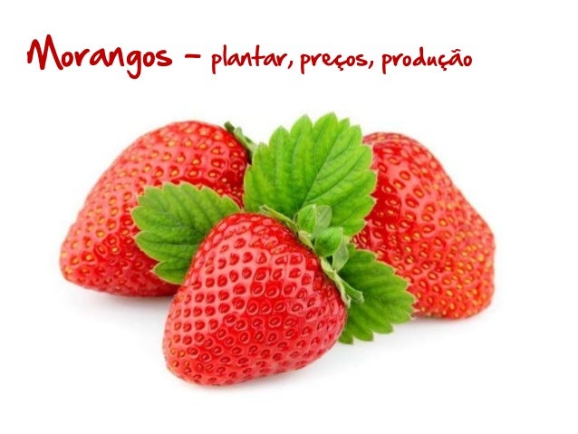 Morangos –

plantar, preços, produção

 