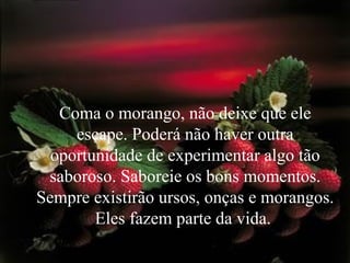 Coma o morango, não deixe que ele
escape. Poderá não haver outra
oportunidade de experimentar algo tão
saboroso. Saboreie os bons momentos.
Sempre existirão ursos, onças e morangos.
Eles fazem parte da vida.
 