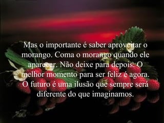 Mas o importante é saber aproveitar o
morango. Coma o morango quando ele
aparecer. Não deixe para depois. O
melhor momento para ser feliz é agora.
O futuro é uma ilusão que sempre será
diferente do que imaginamos.
 