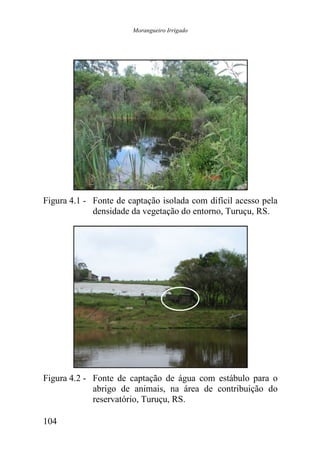 Morangueiro Irrigado




Figura 4.1 - Fonte de captação isolada com difícil acesso pela
             densidade da vegetação do entorno, Turuçu, RS.




Figura 4.2 - Fonte de captação de água com estábulo para o
             abrigo de animais, na área de contribuição do
             reservatório, Turuçu, RS.

104
 
