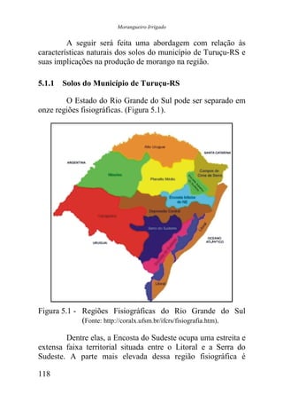 Morangueiro Irrigado


         A seguir será feita uma abordagem com relação às
características naturais dos solos do município de Turuçu-RS e
suas implicações na produção de morango na região.

5.1.1 Solos do Município de Turuçu-RS

        O Estado do Rio Grande do Sul pode ser separado em
onze regiões fisiográficas. (Figura 5.1).




Figura 5.1 - Regiões Fisiográficas do Rio Grande do Sul
             (Fonte: http://coralx.ufsm.br/ifcrs/fisiografia.htm).

        Dentre elas, a Encosta do Sudeste ocupa uma estreita e
extensa faixa territorial situada entre o Litoral e a Serra do
Sudeste. A parte mais elevada dessa região fisiográfica é

118
 