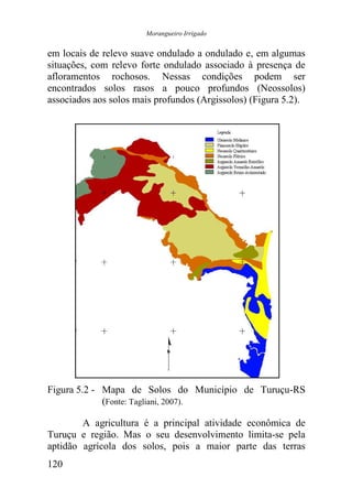 Morangueiro Irrigado


em locais de relevo suave ondulado a ondulado e, em algumas
situações, com relevo forte ondulado associado à presença de
afloramentos rochosos. Nessas condições podem ser
encontrados solos rasos a pouco profundos (Neossolos)
associados aos solos mais profundos (Argissolos) (Figura 5.2).




Figura 5.2 - Mapa de Solos do Município de Turuçu-RS
             (Fonte: Tagliani, 2007).

        A agricultura é a principal atividade econômica de
Turuçu e região. Mas o seu desenvolvimento limita-se pela
aptidão agrícola dos solos, pois a maior parte das terras
120
 
