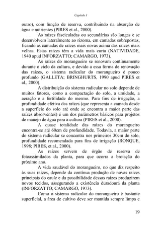 Capítulo I


outro), com função de reserva, contribuindo na absorção de
água e nutrientes (PIRES et al., 2000).
         As raízes fasciculadas ou secundárias são longas e se
desenvolvem lateralmente ao rizoma, em camadas sobrepostas,
ficando as camadas de raízes mais novas acima das raízes mais
velhas. Estas raízes têm a vida mais curta (NATIVIDADE,
1940 apud INFORZATTO; CAMARGO, 1973).
         As raízes do morangueiro se renovam continuamente
durante o ciclo da cultura, e devido a essa forma de renovação
das raízes, o sistema radicular do morangueiro é pouco
profundo (GALLETA; BRINGHURTS, 1990 apud PIRES et
al., 2000).
         A distribuição do sistema radicular no solo depende de
muitos fatores, como a compactação do solo, a umidade, a
aeração e a fertilidade do mesmo. Para fins de irrigação, a
profundidade efetiva das raízes (que representa a camada desde
a superfície do solo até onde se encontra a maior parte das
raízes absorventes) é um dos parâmetros básicos para projetos
de manejo de água para a cultura (PIRES et al., 2000).
         A quase totalidade das raízes do morangueiro
encontra-se até 60cm de profundidade. Todavia, a maior parte
do sistema radicular se concentra nos primeiros 30cm do solo,
profundidade recomendada para fins de irrigação (RONQUE,
1998; PIRES, et al., 2000).
         As raízes servem de órgão de reserva de
fotoassimilados da planta, para que ocorra a brotação do
próximo ano.
         A vida saudável do morangueiro, no que diz respeito
às suas raízes, depende da contínua produção de novas raízes
principais do caule e da possibilidade dessas raízes produzirem
novos tecidos, assegurando a existência duradoura da planta
(INFORZATTO; CAMARGO, 1973).
         Como o sistema radicular do morangueiro é bastante
superficial, a área de cultivo deve ser mantida sempre limpa e

                                                            19
 