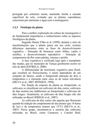 Morangueiro Irrigado


protegida por cobertura morta, mantendo úmida a camada
superficial do solo, evitando que as plantas espontâneas
concorram por nutrientes e água com o morangueiro.

1.2.3 Fisiologia da planta

         Para a melhor exploração da cultura do morangueiro é
de fundamental importância o conhecimento sobre os aspectos
fisiológicos da planta.
         Segundo Duarte Filho et al. (1999), durante a série de
transformações que a planta passa em seu ciclo, existem
diferenças marcantes entre as fases de desenvolvimento
vegetativo - formação de biomassa como folhas, caules e
estolões, e desenvolvimento reprodutivo - formação de
componentes da flor como pétalas, estames e pistilo.
         A fase vegetativa é verificada logo após o transplante
das mudas, que no município de Turuçu geralmente ocorre no
mês de abril (ESTRELA, 2008).
         A diferenciação do meristema vegetativo para floral,
que resultará no florescimento, é muito dependente de um
conjunto de fatores, sendo o fotoperíodo (duração do dia), a
temperatura e a interação entre estes os de maior relevância
(SILVA et al., 2007; RONQUE, 1998).
         Em função da resposta da planta ao fotoperíodo, as
cultivares se classificam em cultivares de dias curtos, cultivares
de dias neutros (ou indiferentes ao fotoperíodo) e cultivares de
dias longos. Atualmente, as cultivares de dias longos não são
utilizadas no Brasil (WREGE et al., 2007).
         As cultivares de dias curtos são aquelas que florescem
quando há redução do comprimento do dia (menor que 14 horas
de luz) e da temperatura (menor que 15°C) (SILVA et al.,
2007). Nesse grupo, encontram-se a maioria das cultivares
utilizadas no Brasil, como Camarosa e Camino Real,


20
 
