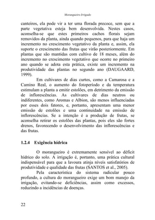 Morangueiro Irrigado


canteiros, ela pode vir a ter uma florada precoce, sem que a
parte vegetativa esteja bem desenvolvida. Nestes casos,
aconselha-se que estes primeiros cachos florais sejam
removidos da planta, ainda quando pequenos, para que haja um
incremento no crescimento vegetativo da planta e, assim, ela
suporte o crescimento das frutas que virão posteriormente. Em
plantas que são mantidas com cultivo de 18 meses, além do
incremento no crescimento vegetativo que ocorre no primeiro
ano quando se adota esta prática, existe um incremento na
produtividade das plantas no segundo ano (DAUGAARD,
1999).
         Em cultivares de dias curtos, como a Camarosa e a
Camino Real, o aumento do fotoperíodo e da temperatura
estimulam a planta a emitir estolões, em detrimento da emissão
de inflorescências. As cultivares de dias neutros ou
indiferentes, como Aromas e Albion, são menos influenciadas
por esses dois fatores, e, portanto, apresentam uma menor
emissão de estolões e uma continuidade na emissão de
inflorescências. Se a intenção é a produção de frutas, se
aconselha retirar os estolões das plantas, pois eles são fortes
drenos, favorecendo o desenvolvimento das inflorescências e
das frutas.

1.2.4 Exigência hídrica

         O morangueiro é extremamente sensível ao déficit
hídrico do solo. A irrigação é, portanto, uma prática cultural
indispensável para que a lavoura atinja níveis satisfatórios de
produtividade e qualidade das frutas (SANTOS et al., 2005).
         Pela característica do sistema radicular pouco
profundo, a cultura do morangueiro exige um bom manejo da
irrigação, evitando-se deficiências, assim como excessos,
reduzindo a incidências de doenças.


22
 