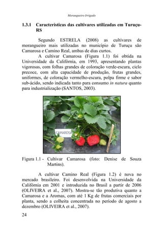 Morangueiro Irrigado


1.3.1 Características das cultivares utilizadas em Turuçu-
      RS

         Segundo ESTRELA (2008) as cultivares de
morangueiro mais utilizadas no município de Turuçu são
Camarosa e Camino Real, ambas de dias curtos.
         A cultivar Camarosa (Figura 1.1) foi obtida na
Universidade da Califórnia, em 1993, apresentando plantas
vigorosas, com folhas grandes de coloração verde-escura, ciclo
precoce, com alta capacidade de produção, frutas grandes,
uniformes, de coloração vermelho-escura, polpa firme e sabor
sub-ácido, sendo indicada tanto para consumo in natura quanto
para industrialização (SANTOS, 2003).




Figura 1.1 - Cultivar Camarosa (foto: Denise de Souza
             Martins).

         A cultivar Camino Real (Figura 1.2) é nova no
mercado brasileiro. Foi desenvolvida na Universidade da
Califórnia em 2001 e introduzida no Brasil a partir de 2006
(OLIVEIRA et al., 2007). Mostra-se tão produtiva quanto a
Camarosa e a Aromas, com até 1 Kg de frutas comerciais por
planta, sendo a colheita concentrada no período de agosto a
dezembro (OLIVEIRA et al., 2007).
24
 