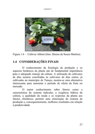 Capítulo I




Figura 1.4 - Cultivar Albion (foto: Denise de Souza Martins).

1.4 CONSIDERAÇÕES FINAIS
         O conhecimento da fisiologia da produção e os
aspectos botânicos da planta são de fundamental importância
para o adequado manejo da cultura. A utilização de cultivares
de dias neutros conciliadas às cultivares de dias curtos, já
cultivadas no município de Turuçu, mostra-se uma alternativa
interessante para aumentar o período de oferta da fruta no
mercado.
         O maior conhecimento sobre fatores como a
característica do sistema radicular, a exigência hídrica da
cultura, a qualidade da muda e as respostas da planta aos
fatores climáticos, permite uma otimização do sistema de
produção e, consequentemente, melhores resultados em relação
à produtividade.




                                                           27
 