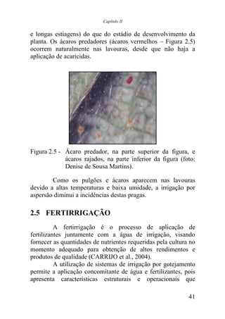 Capítulo II


e longas estiagens) do que do estádio de desenvolvimento da
planta. Os ácaros predadores (ácaros vermelhos – Figura 2.5)
ocorrem naturalmente nas lavouras, desde que não haja a
aplicação de acaricidas.




Figura 2.5 - Ácaro predador, na parte superior da figura, e
             ácaros rajados, na parte inferior da figura (foto:
             Denise de Sousa Martins).

        Como os pulgões e ácaros aparecem nas lavouras
devido a altas temperaturas e baixa umidade, a irrigação por
aspersão diminui a incidências destas pragas.

2.5 FERTIRRIGAÇÃO
          A fertirrigação é o processo de aplicação de
fertilizantes juntamente com a água de irrigação, visando
fornecer as quantidades de nutrientes requeridas pela cultura no
momento adequado para obtenção de altos rendimentos e
produtos de qualidade (CARRIJO et al., 2004).
          A utilização de sistemas de irrigação por gotejamento
permite a aplicação concomitante de água e fertilizantes, pois
apresenta características estruturais e operacionais que

                                                             41
 