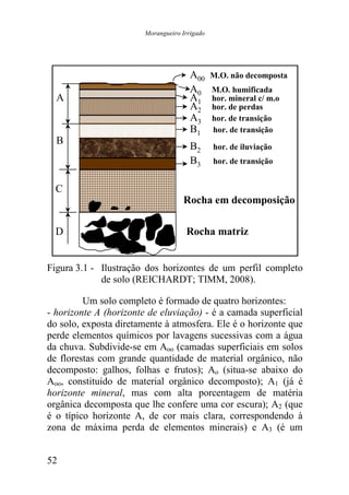 Morangueiro Irrigado




                                       A00     M.O. não decomposta
                                       A0      M.O. humificada
  A                                    A1      hor. mineral c/ m.o
                                       A2      hor. de perdas
                                       A3      hor. de transição
                                       B1      hor. de transição
  B
                                       B2      hor. de iluviação
                                       B3      hor. de transição


  C
                                    Rocha em decomposição

  D                                  Rocha matriz


Figura 3.1 - Ilustração dos horizontes de um perfil completo
             de solo (REICHARDT; TIMM, 2008).

         Um solo completo é formado de quatro horizontes:
- horizonte A (horizonte de eluviação) - é a camada superficial
do solo, exposta diretamente à atmosfera. Ele é o horizonte que
perde elementos químicos por lavagens sucessivas com a água
da chuva. Subdivide-se em Aoo (camadas superficiais em solos
de florestas com grande quantidade de material orgânico, não
decomposto: galhos, folhas e frutos); Ao (situa-se abaixo do
Aoo, constituído de material orgânico decomposto); A1 (já é
horizonte mineral, mas com alta porcentagem de matéria
orgânica decomposta que lhe confere uma cor escura); A2 (que
é o típico horizonte A, de cor mais clara, correspondendo à
zona de máxima perda de elementos minerais) e A3 (é um


52
 