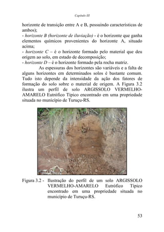 Capítulo III


horizonte de transição entre A e B, possuindo características de
ambos);
- horizonte B (horizonte de iluviação) - é o horizonte que ganha
elementos químicos provenientes do horizonte A, situado
acima;
- horizonte C – é o horizonte formado pelo material que deu
origem ao solo, em estado de decomposição;
- horizonte D – é o horizonte formado pela rocha matriz.
         As espessuras dos horizontes são variáveis e a falta de
alguns horizontes em determinados solos é bastante comum.
Tudo isto depende da intensidade da ação dos fatores de
formação do solo sobre o material de origem. A Figura 3.2
ilustra um perfil de solo ARGISSOLO VERMELHO-
AMARELO Eutrófico Típico encontrado em uma propriedade
situada no município de Turuçu-RS.




Figura 3.2 - Ilustração do perfil de um solo ARGISSOLO
             VERMELHO-AMARELO Eutrófico Típico
             encontrado em uma propriedade situada no
             município de Turuçu-RS.



                                                             53
 