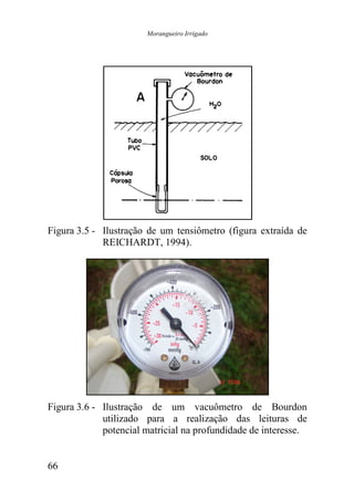 Morangueiro Irrigado




Figura 3.5 - Ilustração de um tensiômetro (figura extraída de
             REICHARDT, 1994).




Figura 3.6 - Ilustração de um vacuômetro de Bourdon
             utilizado para a realização das leituras de
             potencial matricial na profundidade de intere
                                                    interesse.


66
 