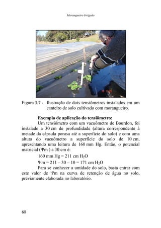 Morangueiro Irrigado




Figura 3.7 - Ilustração de dois tensiômetros instalados em um
             canteiro de solo cultivado com morangueiro.

         Exemplo de aplicação do tensiômetro:
         Um tensiômetro com um vacuômetro de Bourdon, foi
instalado a 30 cm de profundidade (altura correspondente à
metade da cápsula porosa até a superfície do solo) e com uma
altura do vacuômetro a superfície do solo de 10 cm,
apresentando uma leitura de 160 mm Hg. Então, o potencial
matricial (Ψm ) a 30 cm é:
         160 mm Hg = 211 cm H2O
         Ψm = 211 – 30 – 10 = 171 cm H2O
         Para se conhecer a umidade do solo, basta entrar com
este valor de Ψm na curva de retenção de água no solo,
previamente elaborada no laboratório.




68
 