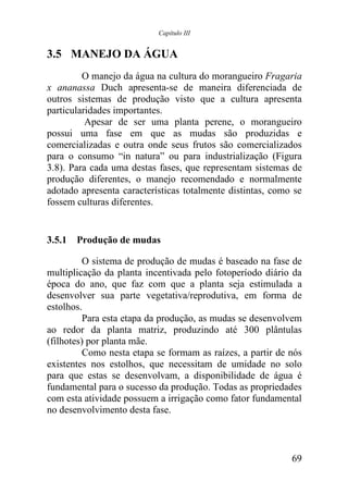 Capítulo III


3.5 MANEJO DA ÁGUA
         O manejo da água na cultura do morangueiro Fragaria
x ananassa Duch apresenta-se de maneira diferenciada de
outros sistemas de produção visto que a cultura apresenta
particularidades importantes.
          Apesar de ser uma planta perene, o morangueiro
possui uma fase em que as mudas são produzidas e
comercializadas e outra onde seus frutos são comercializados
para o consumo “in natura” ou para industrialização (Figura
3.8). Para cada uma destas fases, que representam sistemas de
produção diferentes, o manejo recomendado e normalmente
adotado apresenta características totalmente distintas, como se
fossem culturas diferentes.


3.5.1 Produção de mudas

          O sistema de produção de mudas é baseado na fase de
multiplicação da planta incentivada pelo fotoperíodo diário da
época do ano, que faz com que a planta seja estimulada a
desenvolver sua parte vegetativa/reprodutiva, em forma de
estolhos.
          Para esta etapa da produção, as mudas se desenvolvem
ao redor da planta matriz, produzindo até 300 plântulas
(filhotes) por planta mãe.
          Como nesta etapa se formam as raízes, a partir de nós
existentes nos estolhos, que necessitam de umidade no solo
para que estas se desenvolvam, a disponibilidade de água é
fundamental para o sucesso da produção. Todas as propriedades
com esta atividade possuem a irrigação como fator fundamental
no desenvolvimento desta fase.



                                                            69
 