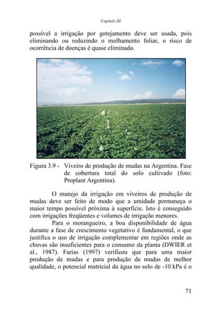 Capítulo III


possível a irrigação por gotejamento deve ser usada, pois
eliminando ou reduzindo o molhamento foliar, o risco de
ocorrência de doenças é quase eliminado.




Figura 3.9 - Viveiro de produção de mudas na Argentina. Fase
             de cobertura total do solo cultivado (foto:
             Proplant Argentina).

          O manejo da irrigação em viveiros de produção de
mudas deve ser feito de modo que a umidade permaneça o
maior tempo possível próxima à superfície. Isto é conseguido
com irrigações freqüentes e volumes de irrigação menores.
          Para o morangueiro, a boa disponibilidade de água
durante a fase de crescimento vegetativo é fundamental, o que
justifica o uso de irrigação complementar em regiões onde as
chuvas são insuficientes para o consumo da planta (DWIER et
al., 1987). Farias (1997) verificou que para uma maior
produção de mudas e para produção de mudas de melhor
qualidade, o potencial matricial da água no solo de -10 kPa é o


                                                            71
 
