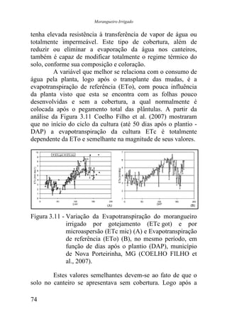 Morangueiro Irrigado


tenha elevada resistência à transferência de vapor de água ou
totalmente impermeável. Este tipo de cobertura, além de
reduzir ou eliminar a evaporação da água nos canteiros,
também é capaz de modificar totalmente o regime térmico do
solo, conforme sua composição e coloração.
         A variável que melhor se relaciona com o consumo de
água pela planta, logo após o transplante das mudas, é a
evapotranspiração de referência (ETo), com pouca influência
da planta visto que esta se encontra com as folhas pouco
desenvolvidas e sem a cobertura, a qual normalmente é
colocada após o pegamento total das plântulas. A partir da
análise da Figura 3.11 Coelho Filho et al. (2007) mostraram
que no início do ciclo da cultura (até 50 dias após o plantio -
DAP) a evapotranspiração da cultura ETc é totalmente
dependente da ETo e semelhante na magnitude de seus valores.




Figura 3.11 - Variação da Evapotranspiração do morangueiro
              irrigado por gotejamento (ETc got) e por
              microaspersão (ETc mic) (A) e Evapotranspiração
              de referência (ETo) (B), no mesmo período, em
              função de dias após o plantio (DAP), município
              de Nova Porteirinha, MG (COELHO FILHO et
              al., 2007).

        Estes valores semelhantes devem-se ao fato de que o
solo no canteiro se apresentava sem cobertura. Logo após a

74
 