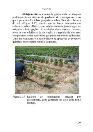 Capítulo III


         -Gotejamento: o sistema de gotejamento se adequou
perfeitamente ao sistema de produção de morangueiro, visto
que a presença dos tubos gotejadores sob o filme de cobertura
do solo (Figura 3.15) permite que se façam adubações em
cobertura, sob o plástico, com adubos solúveis junto à água de
irrigação (fertirrigação). A evolução deste sistema deve-se,
além de sua eficiência de aplicação, à simplicidade dos seus
componentes e dos acessórios que permitem outras utilizações.
Uma das vantagens é a possibilidade de aplicação de produtos
químicos no solo para controle de pragas.




Figura 3.15 - Lavoura    de   morangueiro    irrigada   por
              gotejamento, com cobertura do solo com filme
              plástico.




                                                           79
 