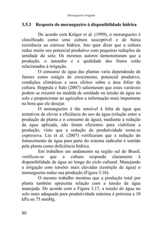 Morangueiro Irrigado


3.5.3 Resposta do morangueiro à disponibilidade hídrica

          De acordo com Krüger et al. (1999), o morangueiro é
classificado como uma cultura susceptível e de baixa
resistência ao estresse hídrico. Isto quer dizer que a cultura
reduz muito seu potencial produtivo com pequenas reduções da
umidade do solo. Os mesmos autores demonstraram que a
produção, o tamanho e a qualidade dos frutos estão
relacionados à irrigação.
          O consumo de água das plantas varia dependendo de
fatores como estágio de crescimento, potencial produtivo,
condições climáticas e seus efeitos sobre a área foliar da
cultura. Hoppula e Salo (2007) salientaram que estas variáveis
podem se resumir na medida de umidade ou tensão da água no
solo e proporcionar ao agricultor a informação mais importante
na hora que ele desejar.
          O morangueiro é tão sensível à falta de água que
tentativas de elevar a eficiência do uso da água (relação entre a
produção da planta e o consumo de água), mediante a redução
da água aplicada, não foram eficientes para viabilizar a
produção, visto que a redução da produtividade torna-se
expressiva. Liu et al. (2007) verificaram que a redução do
fornecimento de água para parte do sistema radicular é sentido
pela planta como deficiência hídrica.
          Em trabalhos em andamento na região sul do Brasil,
verificou-se que a cultura responde claramente à
disponibilidade de água ao longo do ciclo cultural. Manejando
a irrigação com tensões mais elevadas (restrição de água) o
morangueiro reduz sua produção (Figura 3.16).
          O mesmo trabalho mostrou que a produção total por
planta também apresenta relação com a tensão da água
manejada. De acordo com a Figura 3.17, a tensão de água no
solo mais adequada para produtividade máxima é próxima a 10
kPa ou 75 mmHg.

80
 