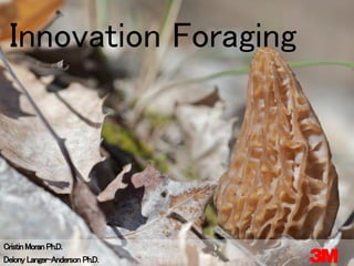 © 3M 2013. All Rights Reserved
Innovation Foraging
CristinMoran Ph.D.
Delony Langer-Anderson Ph.D.
 