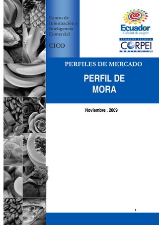 Noviembre , 2009
PERFIL DE
MORA
1
Noviembre , 2009
PERFIL DE
MORA
 