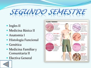  Ingles II
 Medicina Básica II
 Anatomía I
 Histología Funcional
 Genética
 Medicina Familiar y
Comunitaria II
 Electiva General
 
