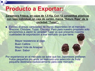 Producto a Exportar:
Zarzamora Fresca, en cajas de 1.5 Kg. Con 12 canastillas plásticas
 con tapa individual, en caja de cartón, marca “Nature Ripe” de la
                         variedad “Tuppi”.
  Existes diversas variedades de moras disponibles en el mercado:
  Brazzos, Choctaw, Tuppi, Chicazu. Pero para nuestro propósito solo
  enviaremos a Japón la variedad Tuppi ya que presenta mejores
  cualidades de exportación a ese mercado ya que tiene:

       Mayor resistencia al viaje.
       Buen Calibre
       Mayor Vida de Anaquel
       Buen Sabor

Por experiencia en el mercado se sabe que los Japoneses prefieren
  frutos pequeños por ende se realizara una selección de fruta
  pequeña destinada exclusivamente para este mercado.
 
