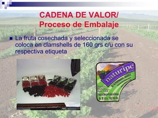 CADENA DE VALOR/
        Proceso de Embalaje
La fruta cosechada y seleccionada se
coloca en clamshells de 160 grs c/u con su
respectiva etiqueta
 