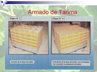 Armado de Tarima
 