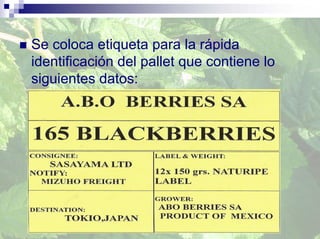 Se coloca etiqueta para la rápida
identificación del pallet que contiene lo
siguientes datos:
 